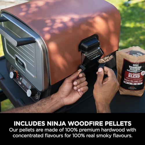 Ninja Woodfire Electric Outdoor Oven, 8-in-1 Pizza Oven, High-Heat Roaster & BBQ Smoker